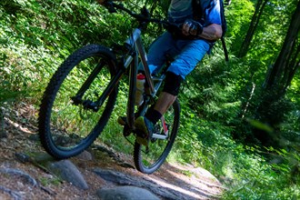 Close-up of a mountain biker on a single trail in the forest