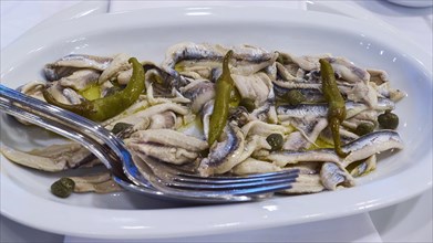 Dish with marinated fish fillets, capers and lemon on a white plate, Gythio, Mani, Peloponnese,