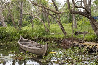 Old abandoned rowing boat on the banks of a canal, enveloped by lush greenery, Kerala backwaters,