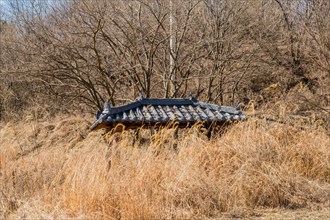 Tiled roof of small picnic pavilion visible above tall winter grass in wilderness park