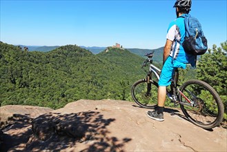 Mountain biker in the Palatinate Forest on a rock with a view of Trifels Castle, Annweiler
