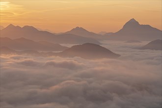 Mountain peak above clouds at sunrise, backlight, haze, summer, view from Jochberg to Guffert,