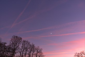 Evening sky with contrails, Bavaria, Germany, Europe