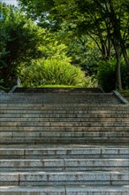 Low angle view of concrete stairs leading into woodland park on sunny afternoon in South Korea