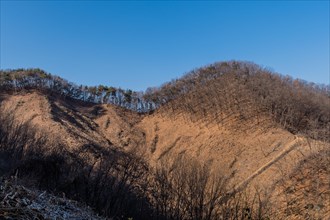 Mountainside suffering from intense logging and deforestation in South Korea