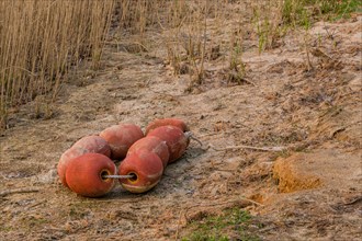 Red floats tied together with rope laying on beach with reeds in background in South Korea