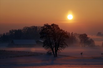 The setting sun bathes a snow-covered winter landscape with ground fog in reddish light, farm,