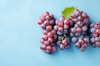 Top vie wof bunch of red grapes on blue background. KI generiert, generiert AI generated