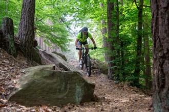 Mountain bikers on a descent in the Palatinate Forest near Weinbiet in the Palatinate Forest,