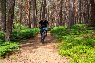 Mountain bikers on a beautiful trail in the summery Palatinate Forest near the Kalmit near