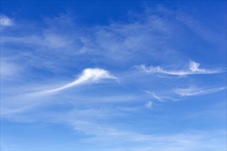 Feather clouds, cirrus in the blue sky, full format, Cadiz, Spain, Europe