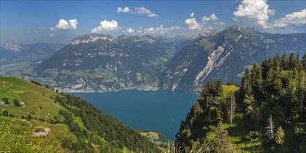 View from Niederbauen Kulm (1923m) to Fronalpstock (2123m) and Sisikon, Lake Lucerne, Canton Uri,