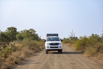 Toyota Hilux off-road vehicle with roof tent on a dirt road, African savannah, Kruger National