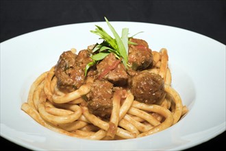 Meatballs in tomato ragout, with fresh sage leaves on bucatini pasta, food photography