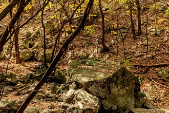 Large granite boulders on mountainside in wilderness park