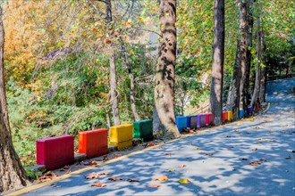 Colorful concrete blocks lining side of paved road in mountain park