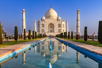 The sublime Taj Mahal is reflected in a long pool of water under a blue sky, Taj Mahal, Agra,