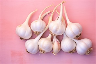 Garlics on pink background. KI generiert, generiert AI generated