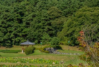 Looking down on oriental gazebo with ceramic tile roof in beautiful woodland park in South Korea