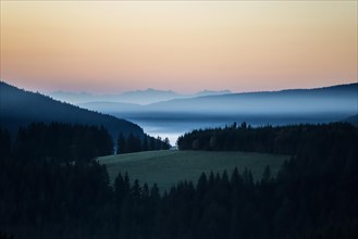 Morning mist, morning mood, sunrise, view from Thurner, Swiss Alps in the background, Black Forest,