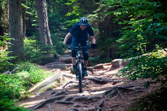 Mountain biker rides a rooted single trail in Dahner Felsenland