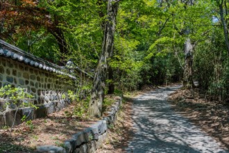 Brick hiking trail beside stone wall in mountainous public park