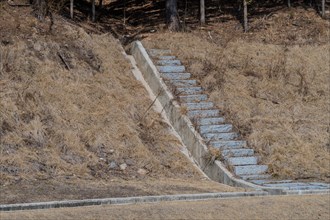 Concrete stairs on hillside in wilderness park in South Korea