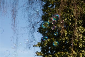 Soap bubbles of several coloured films of soapy water next to each other in front of a blue sky and