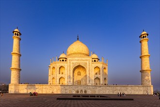 Illuminated Taj Mahal in the blue hour with an intense blue sky above, Taj Mahal, Agra, India, Asia