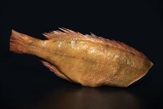 With skin, smoked redfish without head, food photography with black background