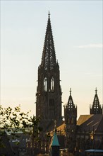 Tower of Freiburg Minster, sunset, Freiburg im Breisgau, Black Forest, Baden-Wuerttemberg, Germany,