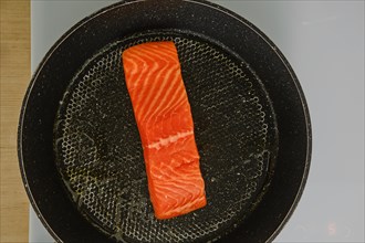 Top view of piece of fresh trout steak in a frying pan on electric stove