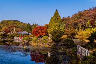 Landscape of man made pond in local public park on autumn afternoon in South Korea