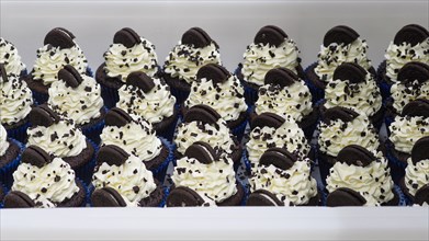 Many chocolate cupcakes with whipped frosting and cookie decorations on a tray