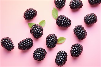 Top view of blackberries on pink background. KI generiert, generiert AI generated
