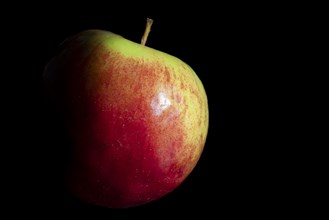 Red apple with green spots, dark background