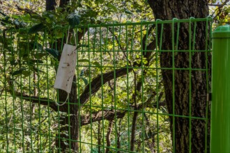 Medical face mask hanging on green metal fence in rural countryside in South Korea