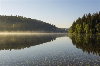 Lake and morning fog, sunrise, Windgfaellweiher, Altglashuetten, Black Forest, Baden-Wuerttemberg,