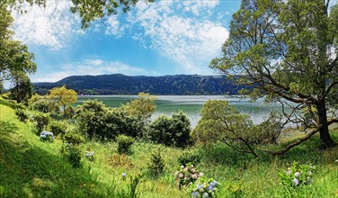 Panoramic view of Furnas Lake surrounded by grass and trees under a clear blue sky, Furnas, Sao