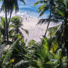 Seychelles, Fregate, clear blue water palm trees and white sandy beach Anse Victorin, Africa