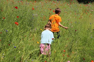 Boy and girl (siblings) running on a flower meadow