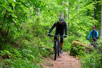 Mountain biker on tour in the central Palatinate Forest near Lambertskreuz