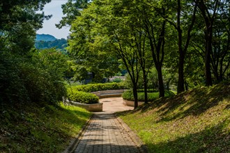 Cobblestone path down hillside in public woodland park on sunny afternoon in South Korea