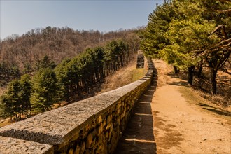 Dirt path behind top of Sandang Fortress wall lined with evergreen trees under clear blue sky