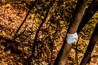 White medical face mask tied onto tree in wilderness park during COVID-19 pandemic