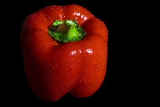 Red capsicum with drops on the surface, dark background