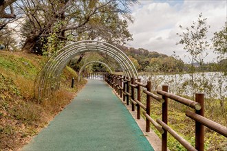Metal trellis over green paved hiking trail at lakeside park in South Korea