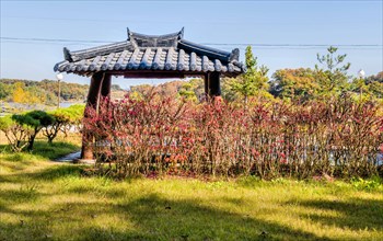 Pavilion in roadside park behind hedge with red autumn leaves in South Korea