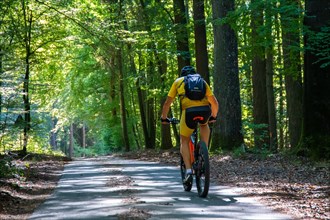 Mountain bikers in the summer forest