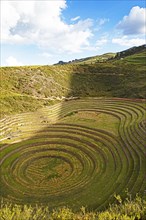 Terraces in the Inca complex Moray in Valle Sagrado, Maras, Cusco region, Peru, South America